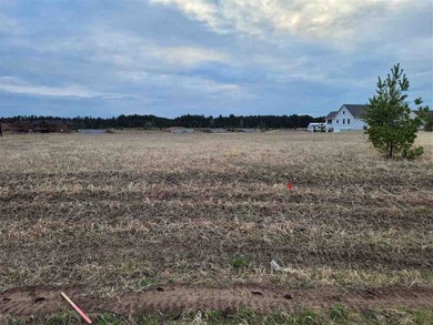 Lot 178 at Island Lake. This lot is ready to go to build the - photo 9