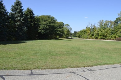 Presenting the 119 buildable lots available off scenic Lake - photo 11