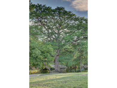 River Road is one of the most sought after areas of historic - photo 12