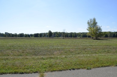 Presenting the 119 buildable lots available off scenic Lake - photo 16