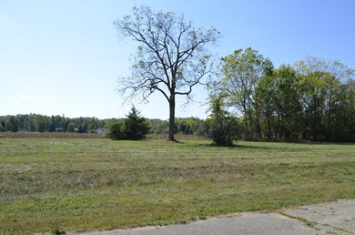 Presenting the 119 buildable lots available off scenic Lake - photo 17
