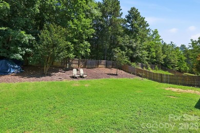 This hidden gem in one of Indian Land's most sought-after - photo 42