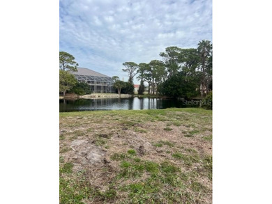 (private lake, pond, creek) Lot For Sale in Tarpon Springs Florida