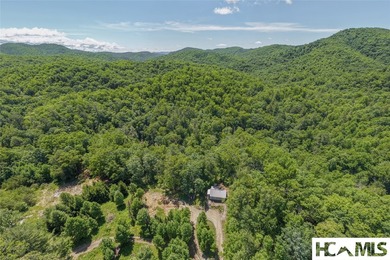 Welcome to Bearfoot Cabin, a charming mountain retreat perched - photo 50