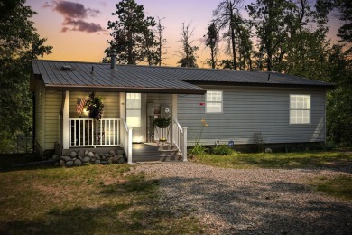Lake Home For Sale in Lewiston, Michigan