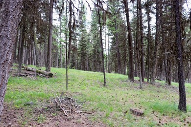 Welcome to Seeley Lake, where year-round recreation is right - photo 11