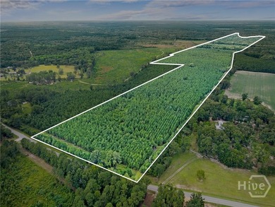 (private lake, pond, creek) Acreage For Sale in Statesboro Georgia