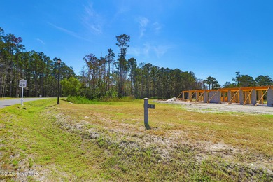 THE PENINSULA! 519 Freedom Park Road is positioned along the - photo 3