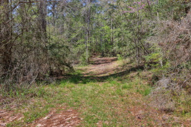 Retreat in Coldspring - 33 Acres - photo 17