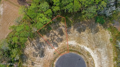 THE PENINSULA! 509 Swan Court is positioned along the right edge - photo 2