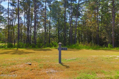 THE PENINSULA! 509 Swan Court is positioned along the right edge - photo 3