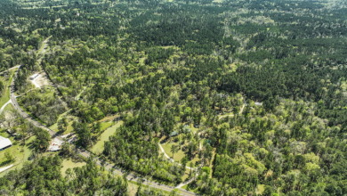 Retreat in Coldspring - 33 Acres - photo 16