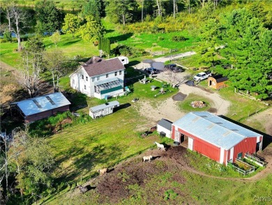 Lake Home For Sale in Summerhill, New York