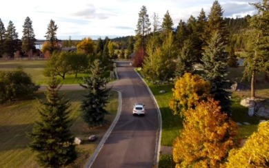 Flathead Lake Lot For Sale in Bigfork Montana