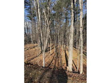 Welcome to Dover-Foxcroft. This pristine, untouched lot of 2.3 - photo 11