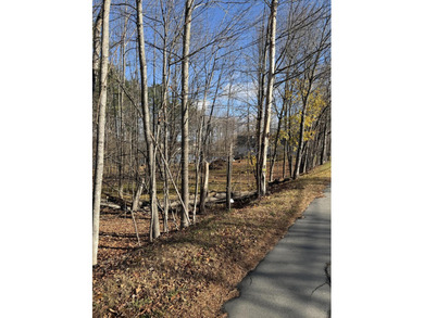 Welcome to Dover-Foxcroft. This pristine, untouched lot of 2.3 - photo 12