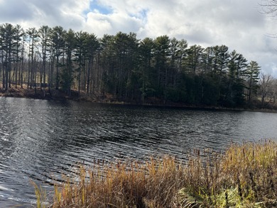 Welcome to Dover-Foxcroft. This pristine, untouched lot of 2.3 - photo 13