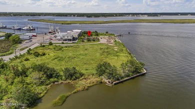 An extraordinary opportunity awaits on the Back Bay of Biloxi, a - photo 18