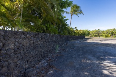Lowest-priced SHOVEL-READY lot in all of Mauna Lani Resort! - photo 20
