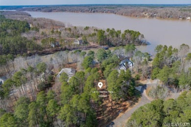 Lake Other Sale Pending in Boydton, Virginia