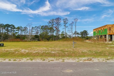 THE PENINSULA! Tucked within Phase Three of Beau Coast, 504 Swan - photo 4