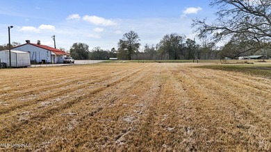 Prime 1-acre commercial lot zoned C2 with high-visibility - photo 9