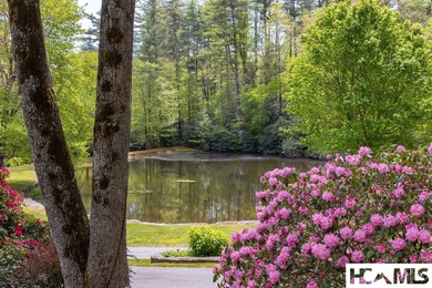 Frog Pond Farm is a 27-acre gated sanctuary just beyond the - photo 42