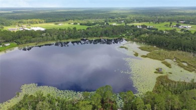 custom-built lakefront retreat set on 5 oak-studded acres - photo 15