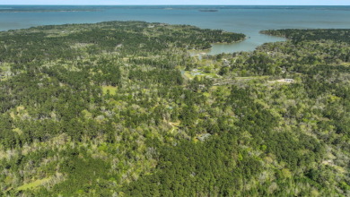 Retreat in Coldspring - 33 Acres - photo 15
