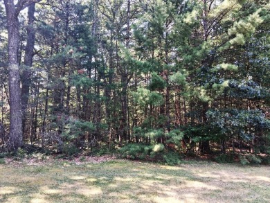 Lake Lot For Sale in Prudenville, Michigan