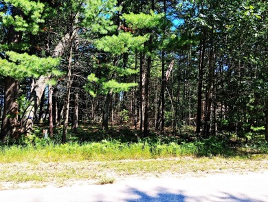 Great opportunity to build your dream home on White Deer Golf - photo 3