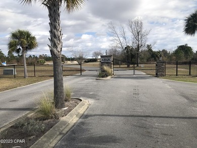 Welcome to Sandy Creek Airpark! A gated residential airpark - photo 5