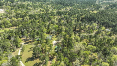 Retreat in Coldspring - 33 Acres - photo 3