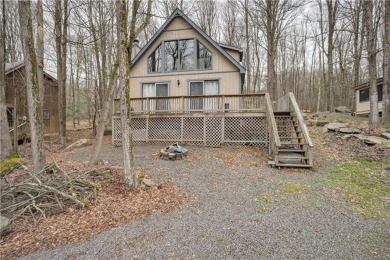 Lake Home For Sale in Wayne County, Pennsylvania