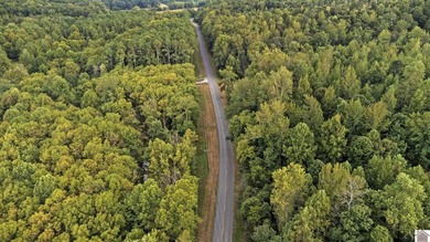 45 ACRES OF PRIME HUNTING LAND NEAR LAKE BARKLEY! Discover the - photo 12