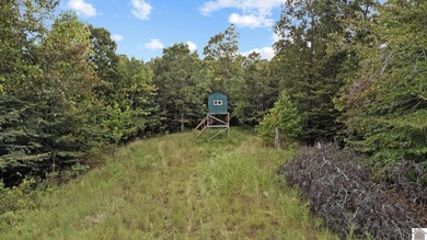 45 ACRES OF PRIME HUNTING LAND NEAR LAKE BARKLEY! Discover the - photo 15