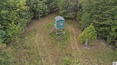 45 ACRES OF PRIME HUNTING LAND NEAR LAKE BARKLEY! Discover the - photo 16