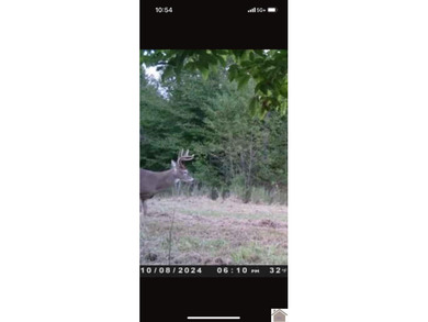 45 ACRES OF PRIME HUNTING LAND NEAR LAKE BARKLEY! Discover the - photo 17