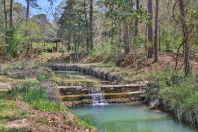 Retreat in Coldspring - 33 Acres - photo 9
