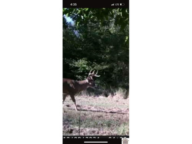 45 ACRES OF PRIME HUNTING LAND NEAR LAKE BARKLEY! Discover the - photo 21