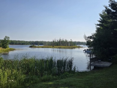 Lake Lot For Sale in Johannesburg, Michigan