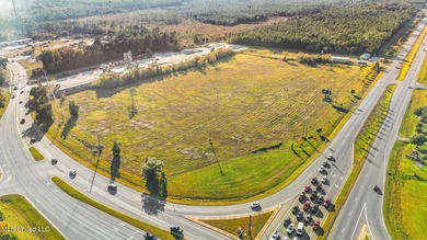 Prime commercial property located at the intersection of HWY 90 - photo 8