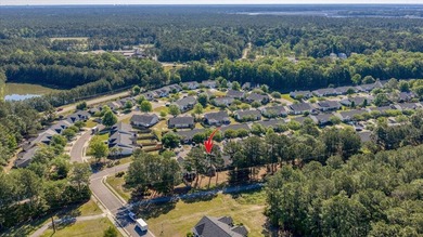 Move-In Ready Retreat Near Charleston! Enjoy the best of both - photo 40