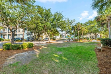 Located within the gated community of The Village at Blue - photo 46