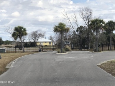 Welcome to Sandy Creek Airpark! A gated residential airpark - photo 7