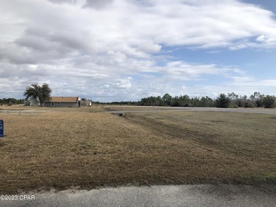 Welcome to Sandy Creek Airpark! A gated residential airpark - photo 10