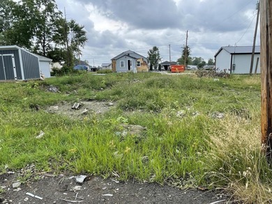 Indian Lake Lot For Sale in Lakeview Ohio