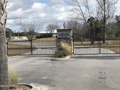 Welcome to Sandy Creek Airpark! A gated residential airpark - photo 6