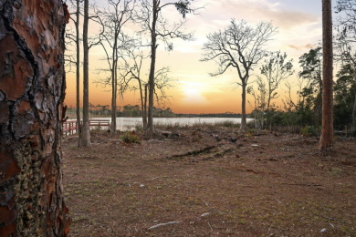 custom-built lakefront retreat set on 5 oak-studded acres - photo 2