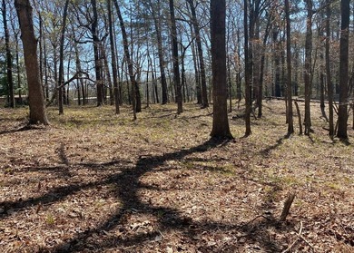 2.59 ACRES OF UNRESTRICTED PROPERTY ON TOLEDO BEND LAKE. JUST - photo 1